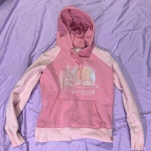 Vintage AE hoodie